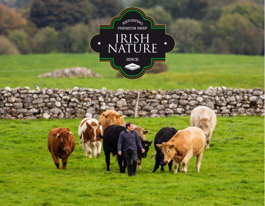 A farmer leads a herd of steers through a grassy pasture with a stone fence and trees in the background and the Irish Nature Beef logo above.