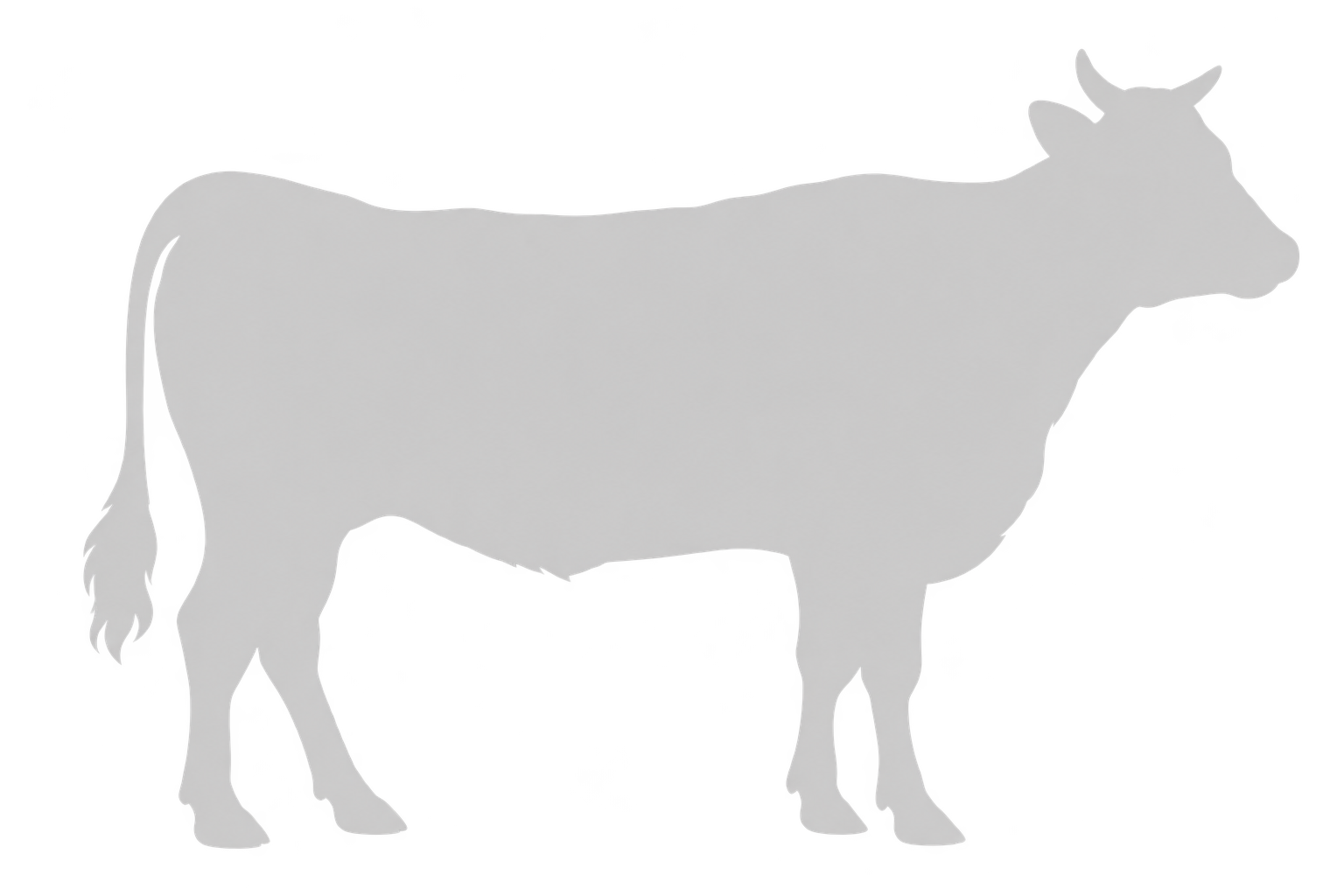 Cow Silhouette