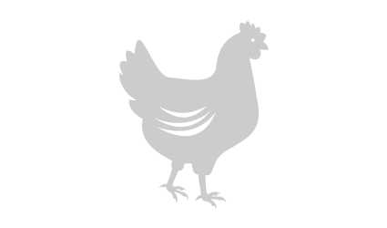 Cornish Game Hen image