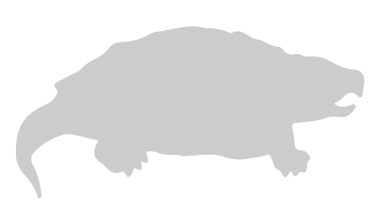 Snapping Turtle image