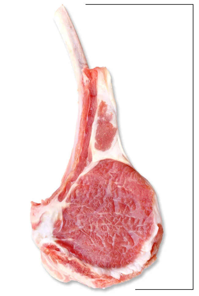 A single Ovation lamb chop, raw, standing bone-up. 